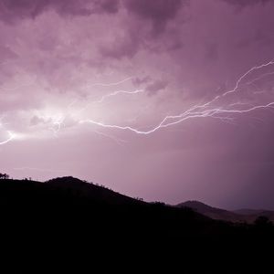 Meet your Posher, Mallory